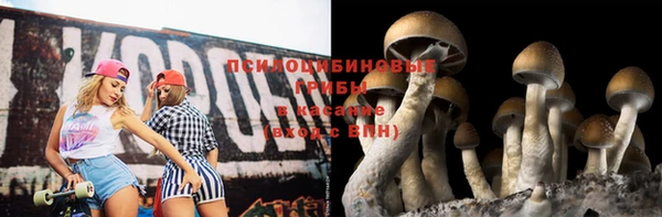трава Горно-Алтайск