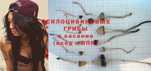 ALPHA-PVP Горняк