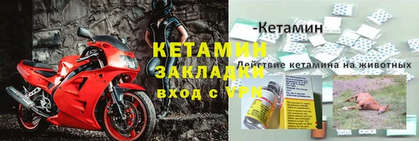 трава Горно-Алтайск