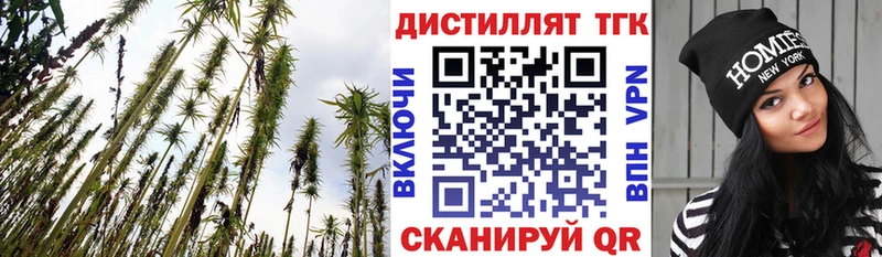 Купить где  Плавск  Дистиллят ТГК Wax 