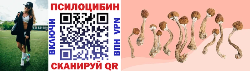 Галлюциногенные грибы GOLDEN TEACHER  Купить где  Плавск 